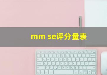 mm se评分量表